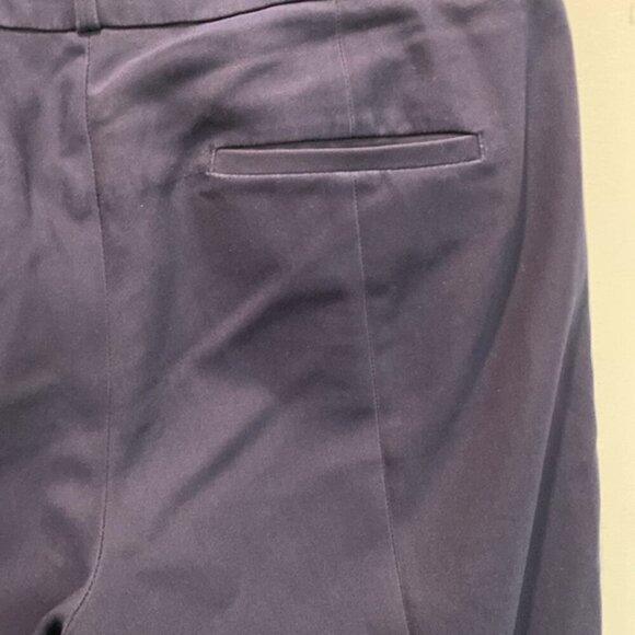 Ann Taylor Loft Blue Julie Skinny Ankle Pants Size 8 - Picture 12 of 15